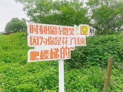 -飞天山旅游区