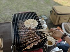 -春花秋色城市公园