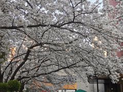 -玛格萝妮比萨屋(四平店)