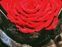 网红小黑裙6寸-NOVA蛋糕私人订制