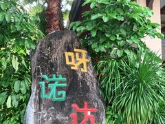 -呀诺达热带雨林