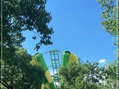 -苏州乐园森林水世界