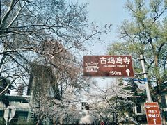 -傣妹火锅(狮子桥店)