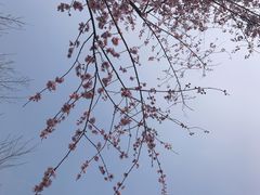 -无锡梅园公园