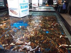 水产区-盒马鲜生(馥邦国际店)