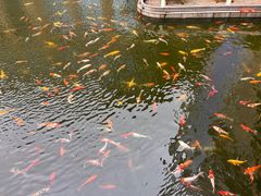 -番禺宾馆丽苑厅