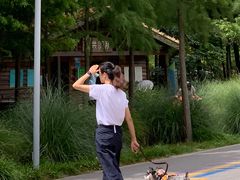 -上海长兴岛郊野公园