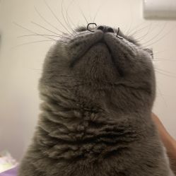 -Miss·A日式美甲美睫