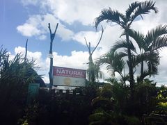 -自然餐厅(Phuket)