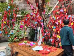 -重庆十八梯传统风貌区