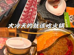 -熊喵来了火锅·牧场好肉(邯郸邯山万达店)