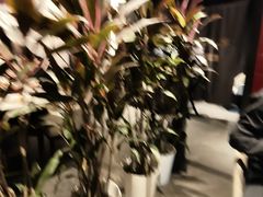 -大秦小宴•新派西北(万象前海店)