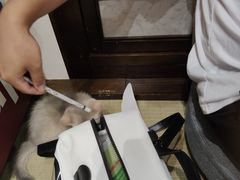 -逗柴咖啡屋·狗咖猫咖宠物桌游