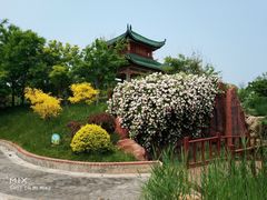 -武清南湖绿博园