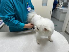 -中农国际动物医院24小时·猫科·骨科·急重症中心
