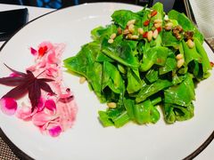 松子炒山苏叶-若蘭慈·无国界素食料理(欢乐海岸店)