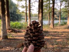 -艾溪湖湿地公园