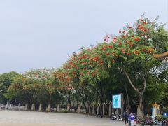 -福神岗公园