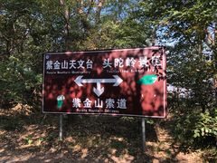 -紫金山山顶公园