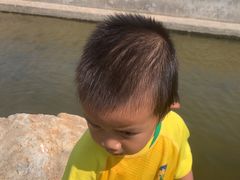 -碧海金沙