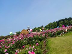 -东方绿舟景区
