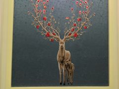 火烈鸟-随心小姐