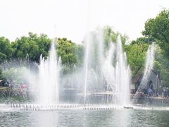 -上海共青森林公园