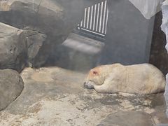-海合安武汉极地海洋公园