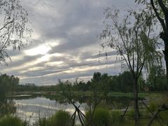 -东郊湿地公园
