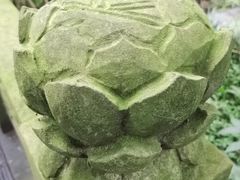 -都江堰普照寺