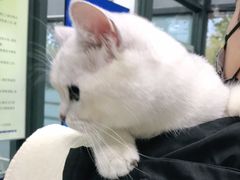 -申普宠物医院·眼科·心内科·影像科(普陀分院)