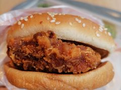 大盘鸡风味汉堡-麦当劳(明湖店)