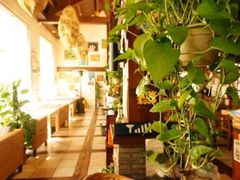 白天的酒吧-伽蓝殿民宿