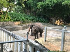 -深圳野生动物园