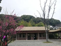 -苏州上方山国家森林公园