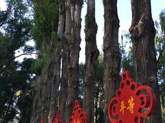 -西宁市人民公园(城西区)