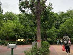-青城公园