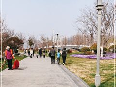 -桃花岛公园