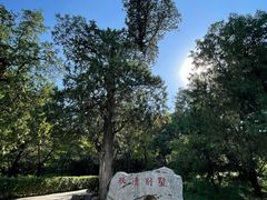 -香山公园