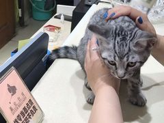 -嘉亿台球俱乐部(观前店)
