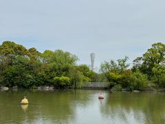 -上海吴淞炮台湾国家湿地公园