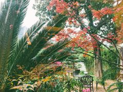 -大可堂普洱茶馆(襄阳南路馆)