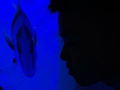-苏州海洋馆