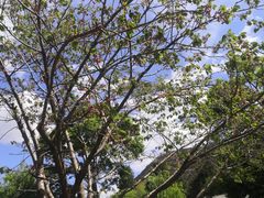 -黑龙潭公园