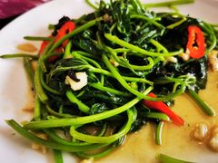 -鸽鸟轩(石岐店)