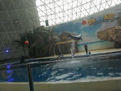 -皇家极地海洋世界-售票处