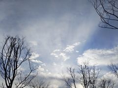 -秦始皇帝陵博物院-丽山园