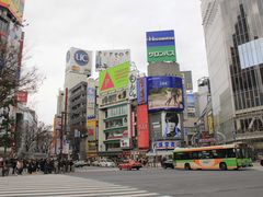 -涩谷区