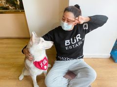 -Husky Go! 哈士奇体验馆·宠物咖啡厅狗咖