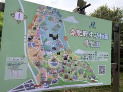 -合肥野生动物园